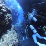 沖縄ダイビング ケラマダイビング サンゴ礁 沖縄グルメ 茨城ダイビング いわきダイビング クレセント 水中写真 オリンパス