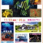 伊豆大島ダイビング お得な伊豆大島 茨城 クレセント イエローダオブ