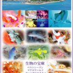 柏島ダイビングツアー 東京発柏島ダイビング 茨城 クレセント