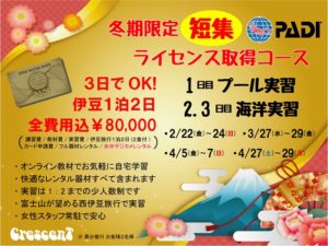 冬期限定 ダイビングライセンス 短期集中 お正月プラン PADIライセンス 茨城 クレセント