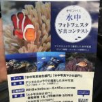 オリンパス 水中写真 フォトコン チャレンジ ダイビング 茨城 クレセント