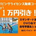 ダイビングライセンス取得 キャンペーン しっかり講習