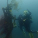 大瀬崎ダイビング 水中写真 初心者ダイビング 茨城ダイビング クレセント
