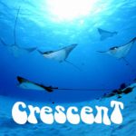 常夏の島 サイパン ダイビング 透明度 マリアナ ガラパン 茨城 クレセント