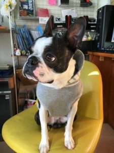 イギーちゃん来店 茨城 福島でダイビングを始めるなら クレセント 初心者大歓迎