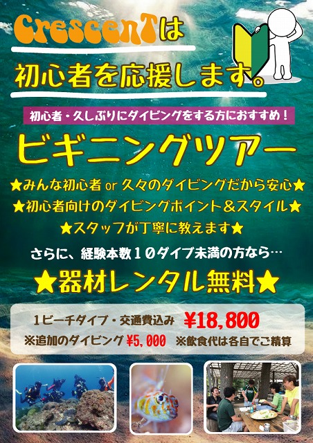 初心者限定!ビギニングツアー