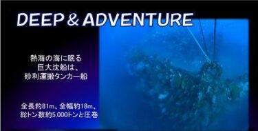 熱海沈船ダイブ