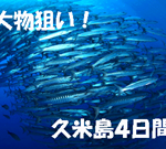 久米島 久米島ダイビング はての浜 マンタ トンバラ 茨城ダイビング いわきダイビング クレセント