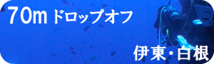 ダイナミック伊東白根ボートダイブ