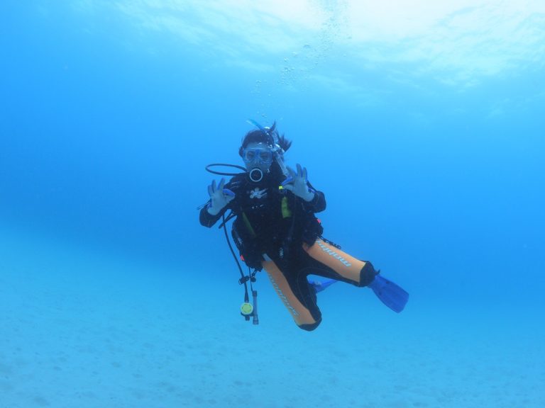 奄美大島のお魚たち☆│茨城・福島でダイビングを始めるなら